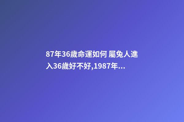 87年36歲命運如何 屬兔人進入36歲好不好,1987年屬兔人最旺的年齡-第1張-觀點-玄機派